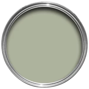 Vert de Terre No.234 by Farrow & Ball - open paint tin colour swatch