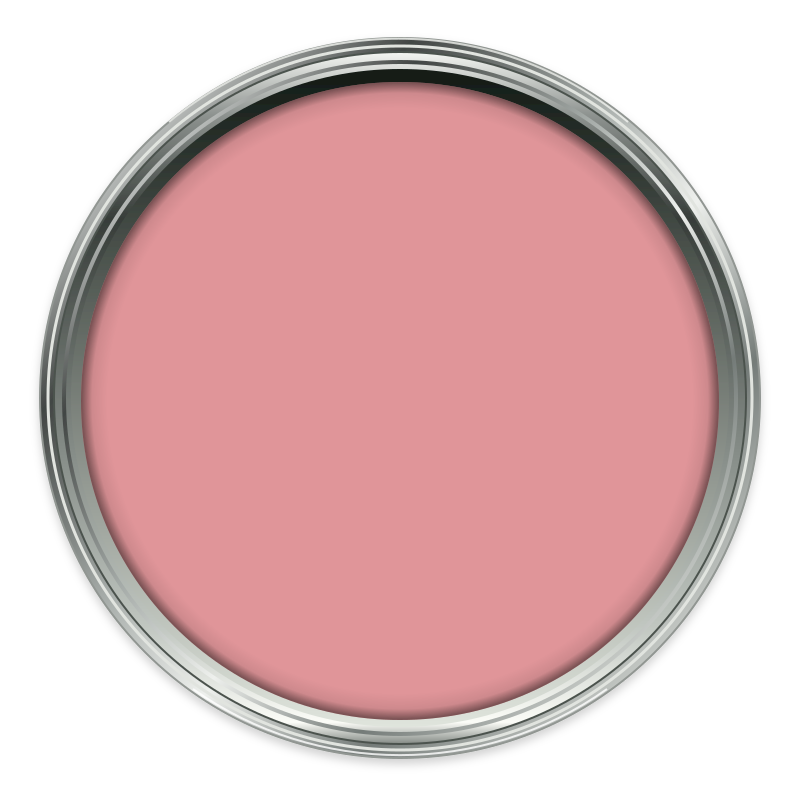 Bertie's Best paint colour