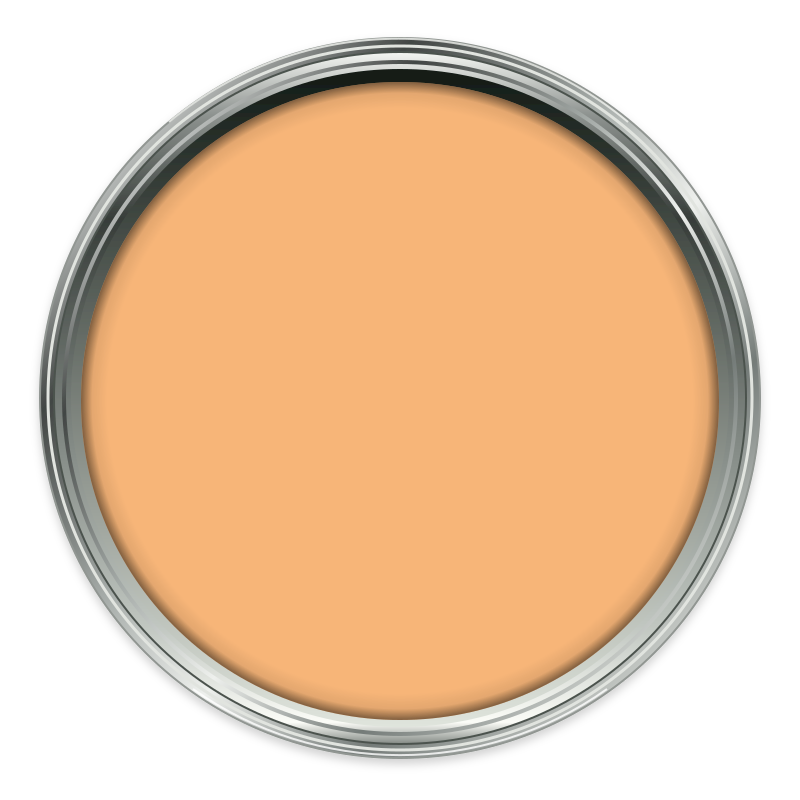 Conche – No.20 paint colour