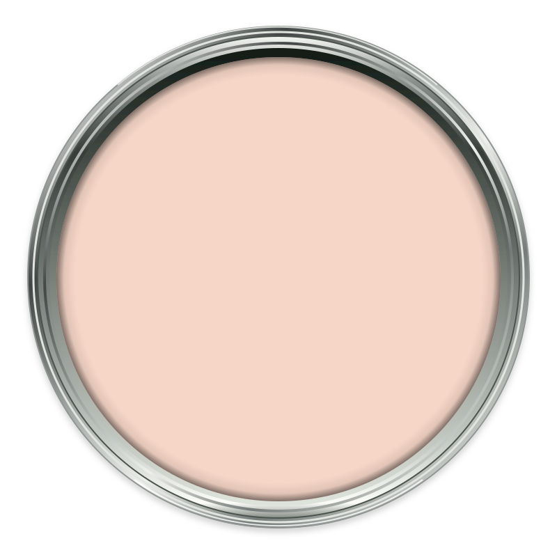 Inner Shell paint colour
