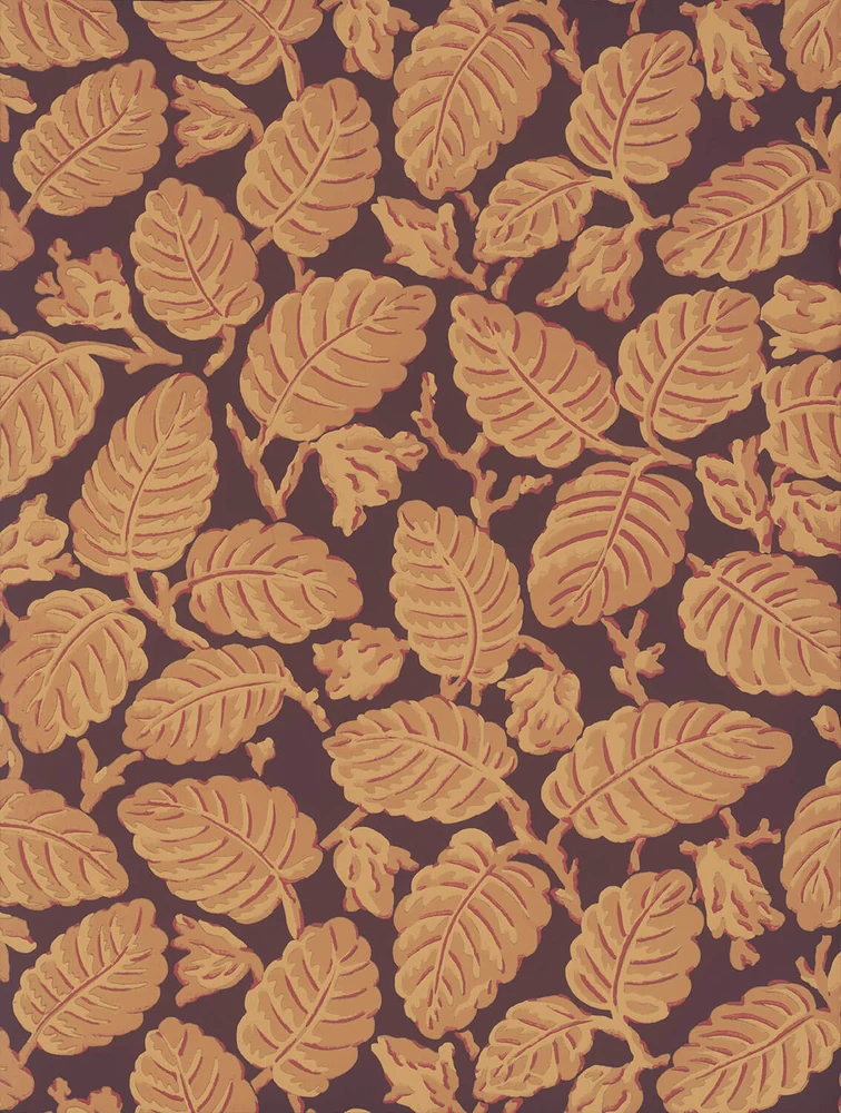 Beech Nut — Córdoba