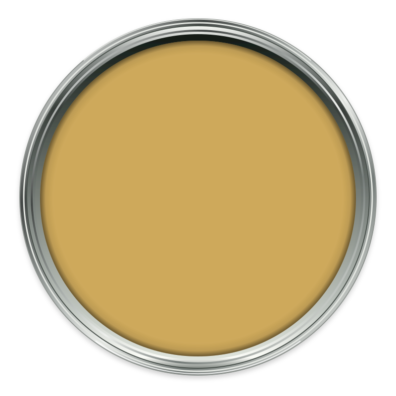 Light Buff paint colour