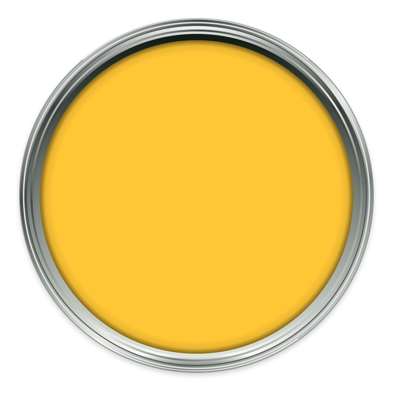 Lopez paint colour