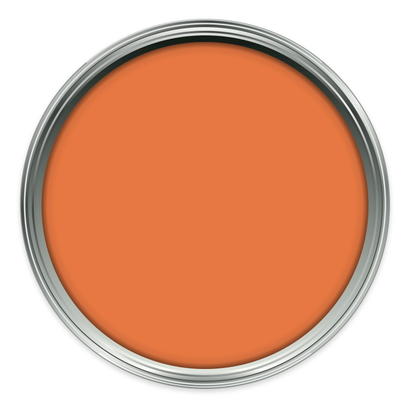 Mandarin paint colour