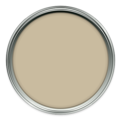 Canvas V paint colour