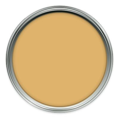Morning Room paint colour