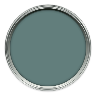 Iguana paint colour