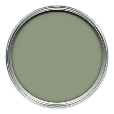 Greenback paint colour