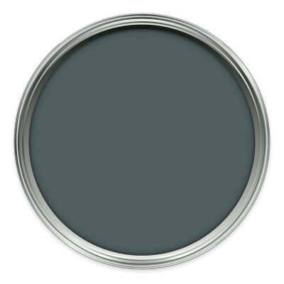 Squid Ink paint colour