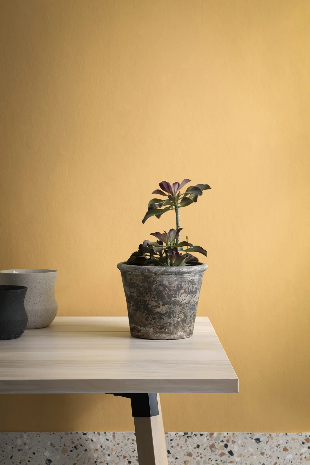 Parasol, Clay III, Clay I — Paint & Paper Library