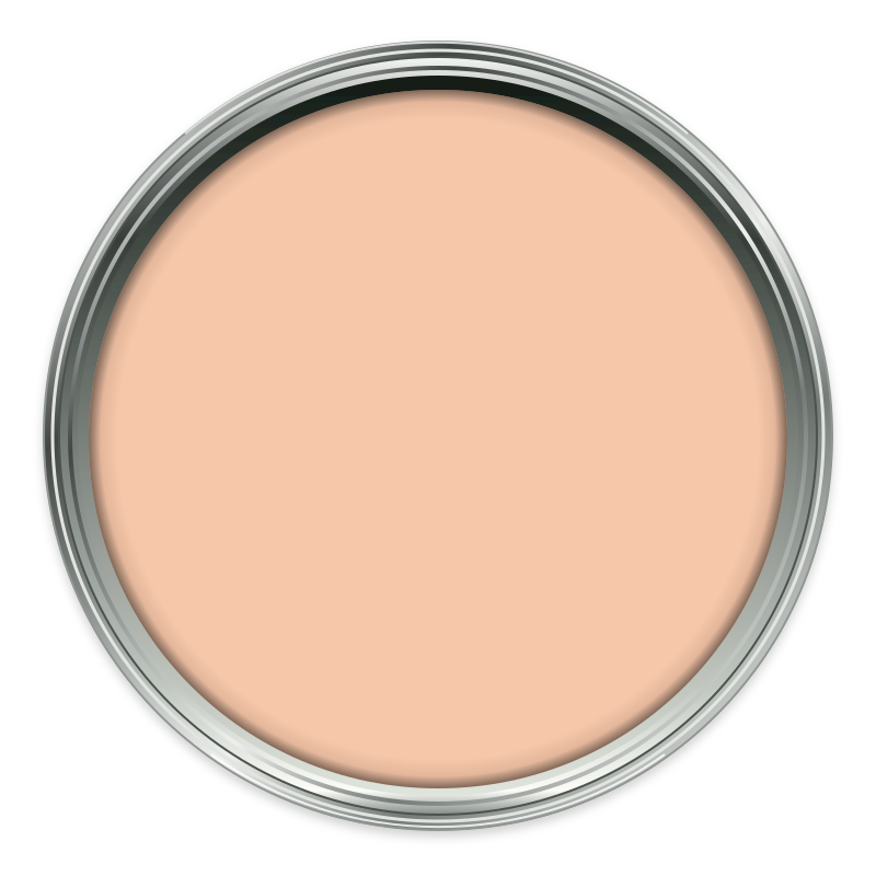 Shrimp Pink – No.11 paint colour